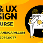 Ux and Ui Design Courses
