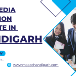 Multimedia Animation Institute in Chandigarh