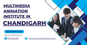 Multimedia Animation Institute in Chandigarh