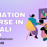 Animation Course in Mohali