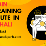 VFX Training Institute in Mohali